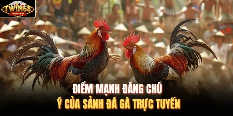 Điểm mạnh đáng chú ý của sảnh đá gà trực tuyến