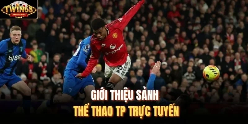 Giới thiệu sảnh thể thao TP trực tuyến