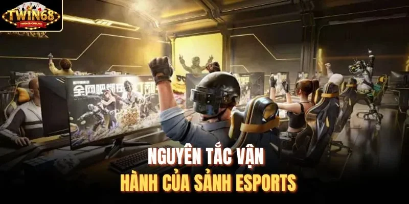 Nguyên tắc vận hành của sảnh Esports