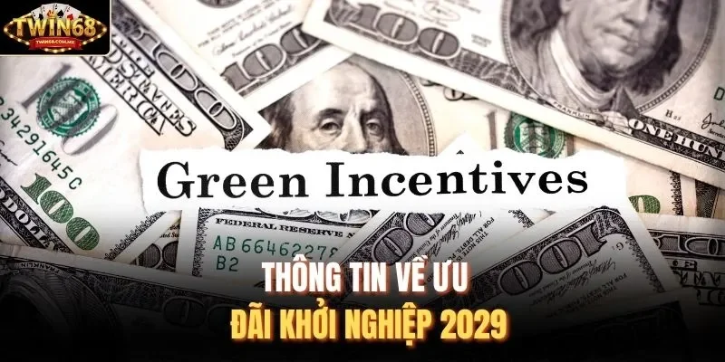 Thông tin về ưu đãi khởi nghiệp 2029